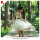 Children High Quality Backless Tutu Dress